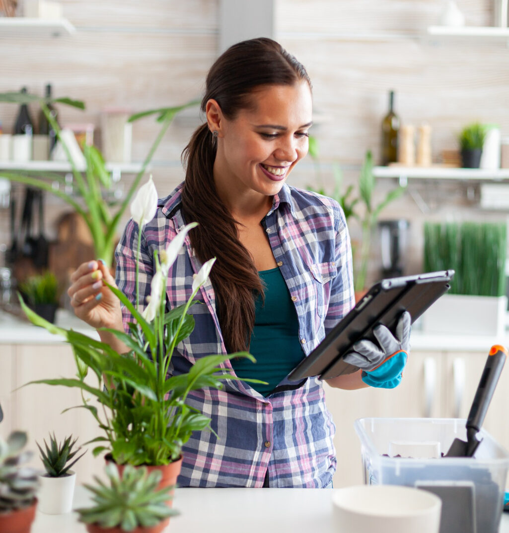 Accounting, Bookkeeping & Advisory Services for Food and Beverage Industry bookkeeping services for food and beverage